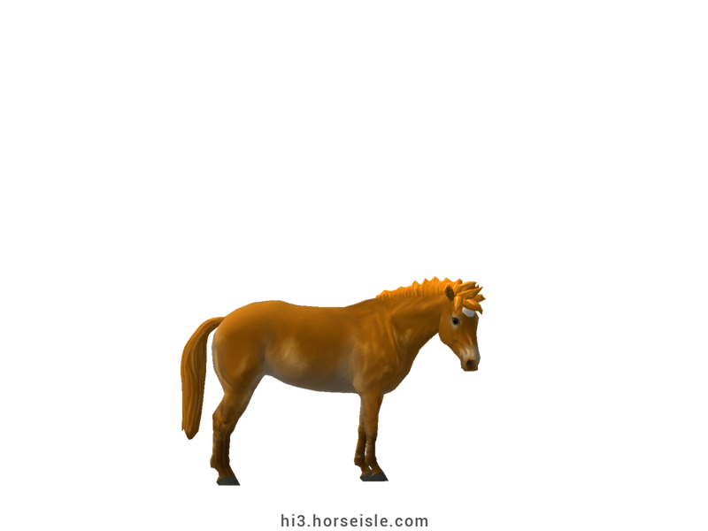 Skyros Pony Linebacked Bright Sorrel Coat